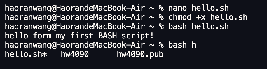 Bash command output example