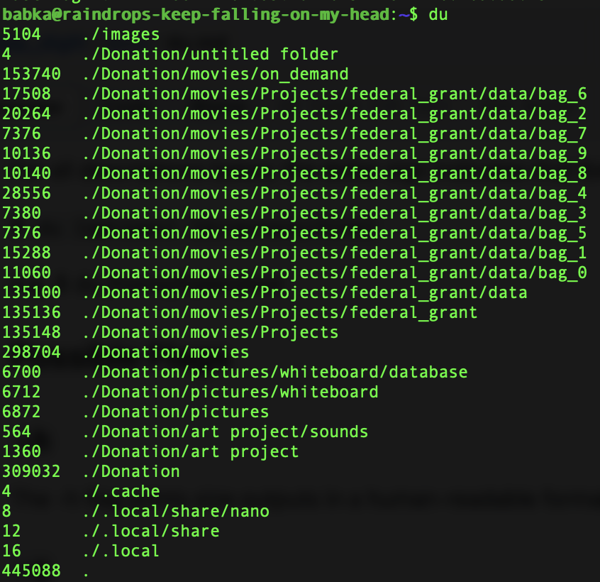 screenshot of du output