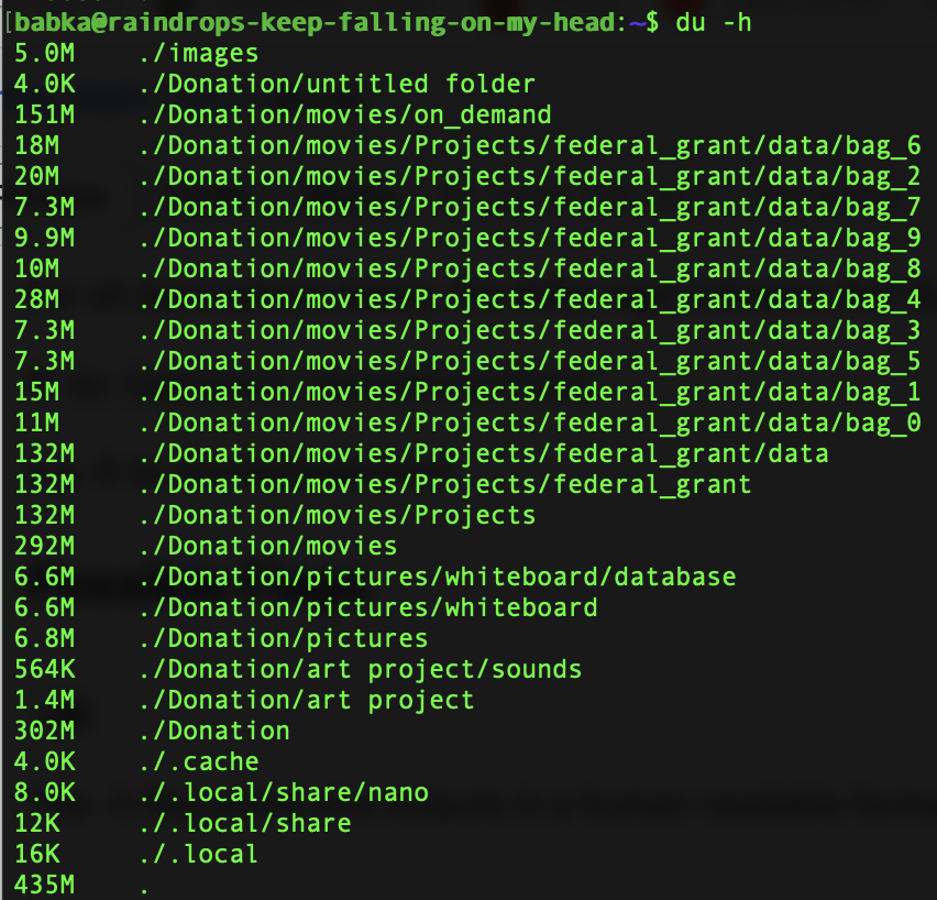 screenshot of du h output