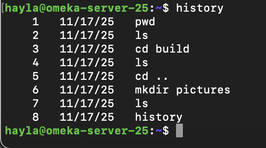 screenshot of history output
