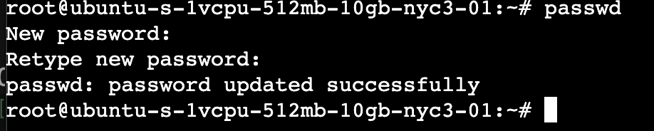 screenshot of passwd list output