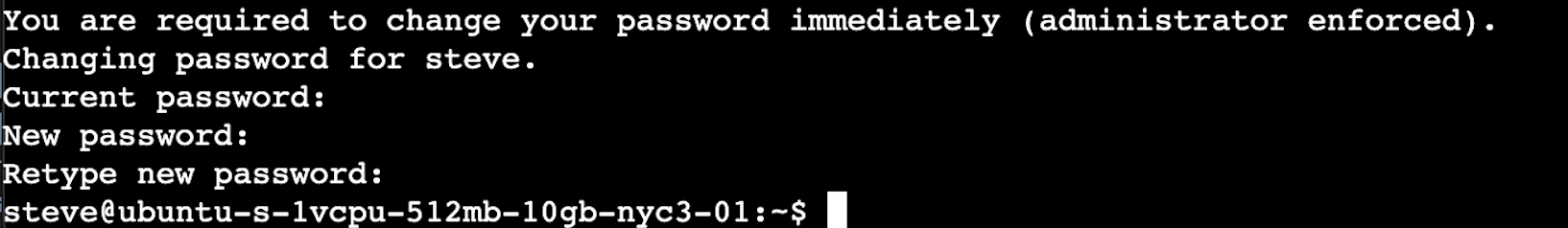 screenshot of passwd userview output