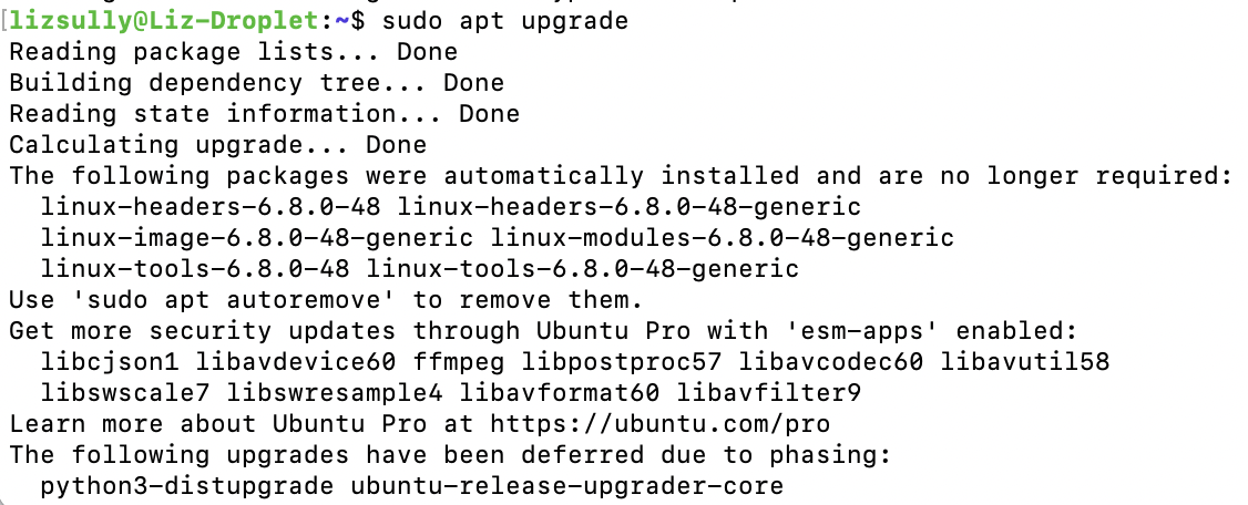 screenshot of upgrade output